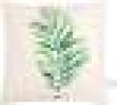 Наволочка Этель " The leaf", 40*40 см, 100 п/э, велюр