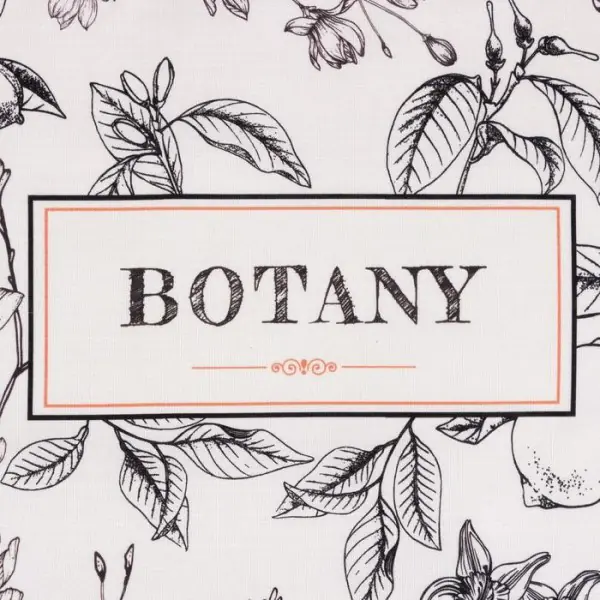 Набор подарочный Botany: полотенце, подставки, кухонная ложка, кухонная лопатка