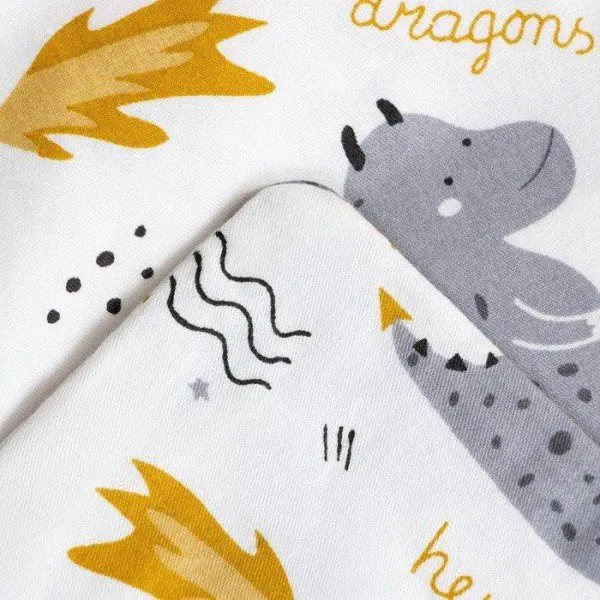 Постельное бельё Этель 1,5 сп "Dragon" 143х215 см, 155х214 см, 50х70 см -1 шт, 100% хлопок, сатин