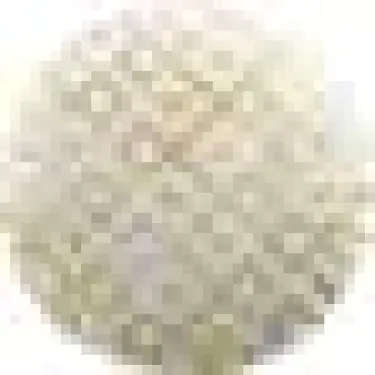 Подушка круглая Cortin «Этника»